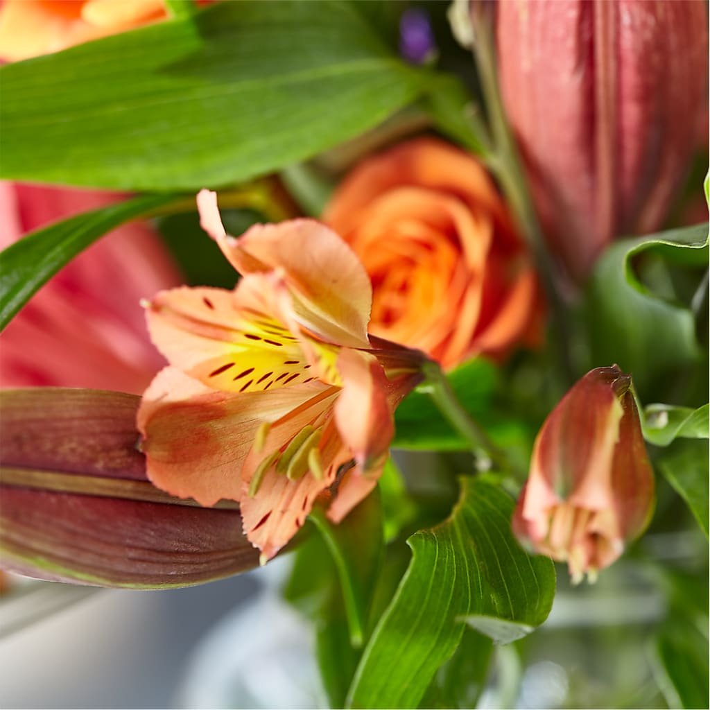 Bold & Bright – A Florist Original –  Isbill Floral Gallery, Cleveland TN