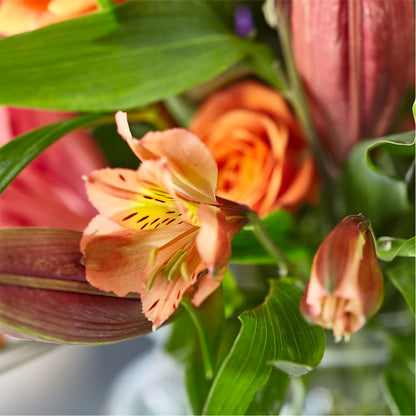 Bold & Bright – A Florist Original –  Isbill Floral Gallery, Cleveland TN