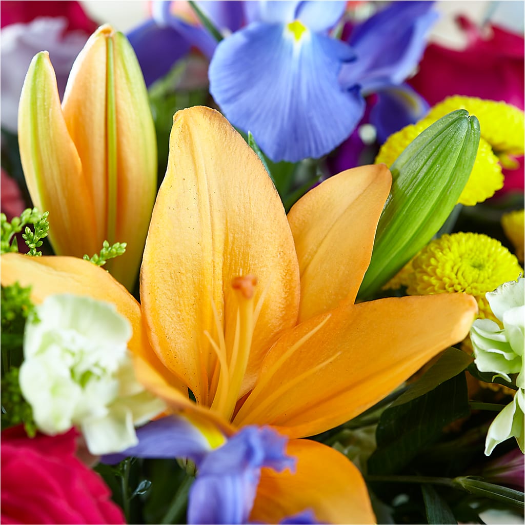 Bold & Bright – A Florist Original –  Isbill Floral Gallery, Cleveland TN