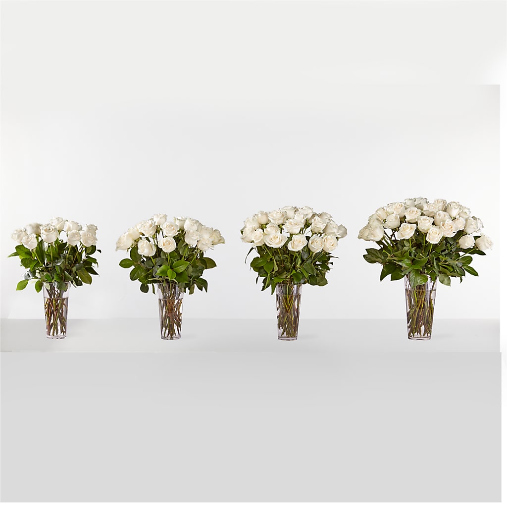 Long Stem White Rose Bouquet –  Isbill Floral Gallery, Cleveland TN